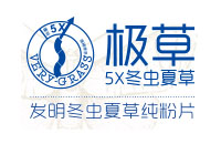 青海春天logo